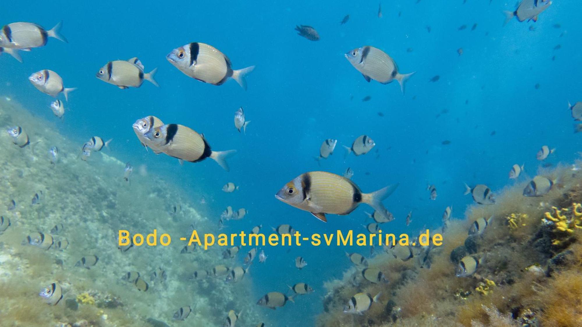 Bodo Apartment Labin  Zewnętrze zdjęcie